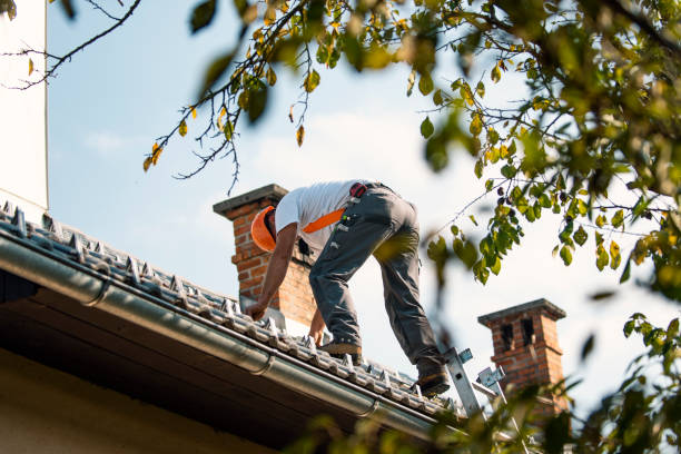 Best Storm Damage Roof Repair  in Mercedes, TX