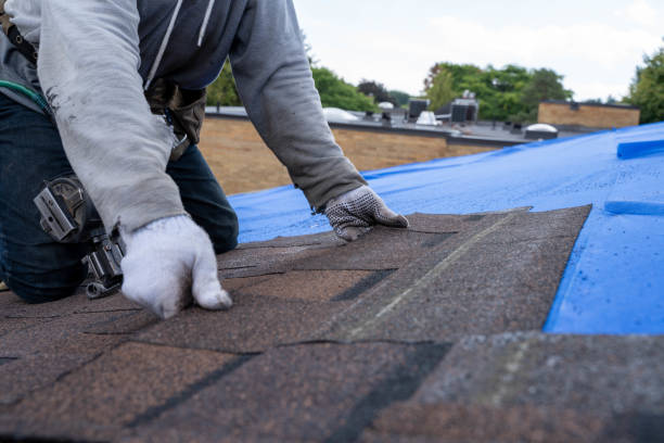 Best Commercial Roofing Services  in Mercedes, TX