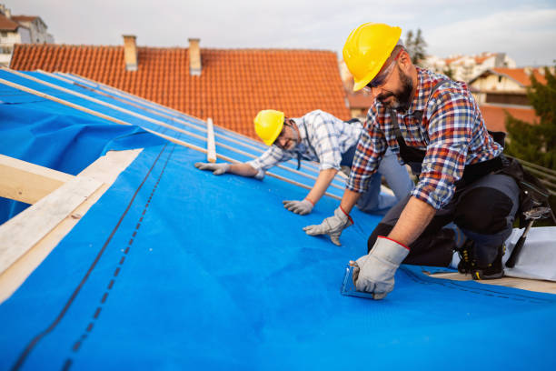 Best Roof Waterproofing Services  in Mercedes, TX