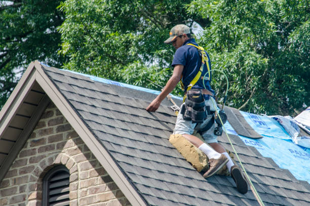 Best Roof Gutter Cleaning  in Mercedes, TX