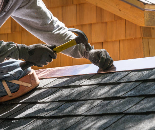 Best Local Roofing Companies  in Mercedes, TX